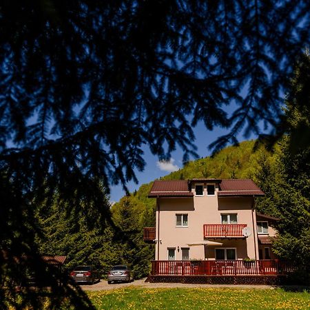 Cabana Zip Zărneşti المظهر الخارجي الصورة