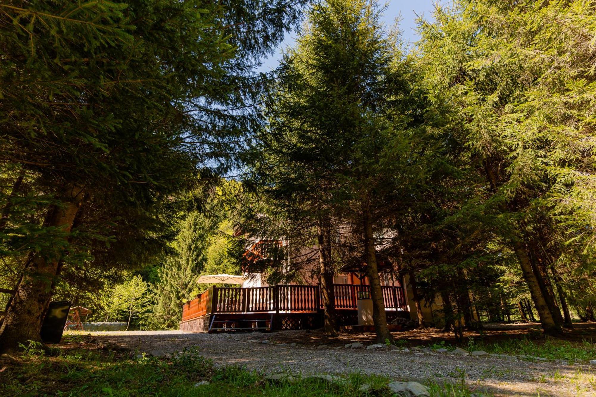 Cabana Zip Zărneşti المظهر الخارجي الصورة